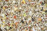 Safflower Gold Blend for Conures and Cockatiels