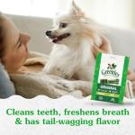 Greenies Teenie Dental Dog Treats, 12 oz