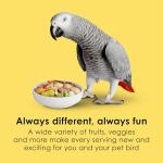 Kaytee Fiesta Parrot Food - Nutritious Blend