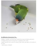 Harrisons High Potency Bird Food 5lb