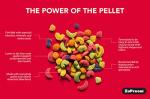 ZuPreem FruitBlend Bird Food for Parrots & Conures