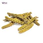 Millet Tips & Tails for Happy Birds