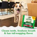 Greenies Original Dental Treats for Dogs, 36 Count