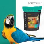 Roudybush Mini Daily Bird Food 10 lbs