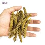 Millet Tips & Tails for Happy Birds
