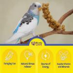 Millet Tips & Tails for Happy Birds