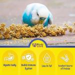 Millet Tips & Tails for Happy Birds