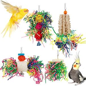 Interactive Bird Foraging and Chewing Toys