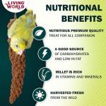 Millet Spray Treat for Budgies and More
