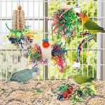 Interactive Bird Foraging and Chewing Toys
