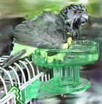 Lixit Quick Lock Bird Cage Bath for Small Birds