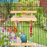 Wooden Bird Perches and Play Gym Toys