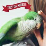 Nature's Miracle Bird Cage Cleaner Spray