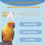 Cuttlebone with Holder for Birds - 4 Pcs