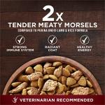 Purina ONE True Instinct Turkey & Venison Dog Food