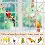 Colorful Bird Swing Toys for Happy Parrots