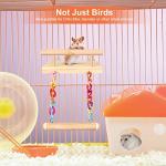 Wooden Bird Perches and Play Gym Toys