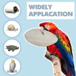 Cuttlebone with Holder for Birds - 4 Pcs