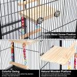 Wooden Bird Perches and Play Gym Toys
