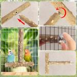 Wooden Bird Perches - 4 Pack Chewing Sticks