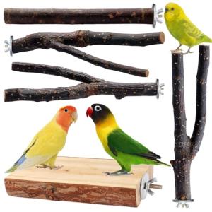 Multi-Branch Wooden Perch Toy for Small Birds