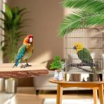 Multi-Branch Wooden Perch Toy for Small Birds