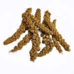 Kaytee Millet Spray Treat for Pet Birds 7oz