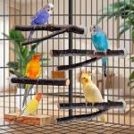 Multi-Branch Wooden Perch Toy for Small Birds