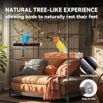 Multi-Branch Wooden Perch Toy for Small Birds