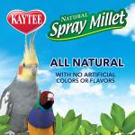 Kaytee Millet Spray Treat for Pet Birds 7oz