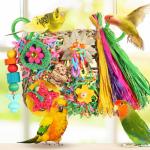 Bird Foraging Toys and Climbing Wall for Birds