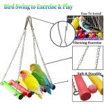 Colorful Bird Toys for Parakeets and Parrots