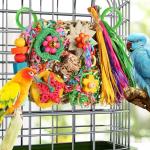 Bird Foraging Toys and Climbing Wall for Birds