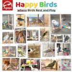Interactive 360° Bird Perch Toy for Parrots