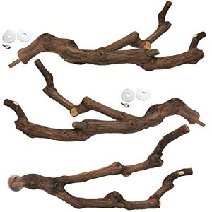 Kathson Natural Grape Stick Bird Perch Set 3PCS