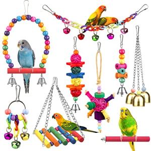 Colorful Bird Toys with Ladder and Hammock