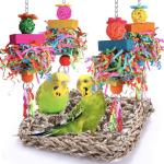 Fun Bird Toys and Hammock for Small Birds
