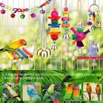 Colorful Bird Toys with Ladder and Hammock