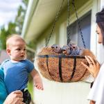 Coconut Fiber Nesting Material for Birds - 2PCS