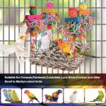 Fun Bird Toys and Hammock for Small Birds