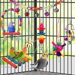 Colorful Bird Toys with Ladder and Hammock
