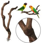 Kathson Natural Grape Stick Bird Perch Set 3PCS