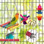 Colorful Bird Toys with Ladder and Hammock