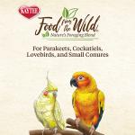 Kaytee Natural Snack Treats for Pet Birds