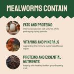 Organic Dried Mealworms for Chickens and Birds