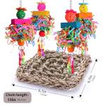 Fun Bird Toys and Hammock for Small Birds
