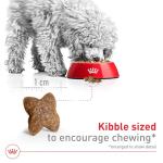Royal Canin Small Adult Dry Dog Food, 4 lb