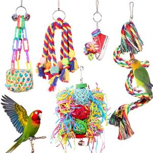 Colorful Chew and Forage Toys for Birds