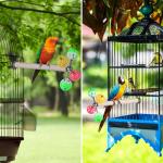 Bird Perch Toy with Rotating Balls for Fun