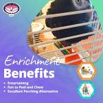 Chewable Paper Bird Toy with Colorful Sticks